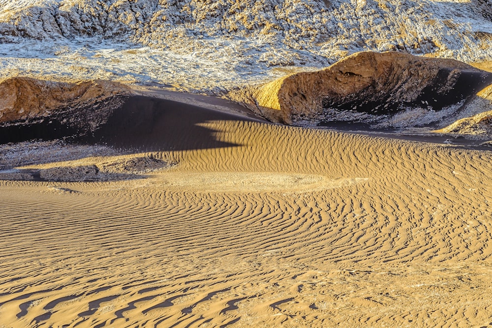 brown dessert during daytime