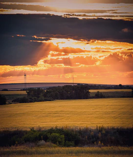 A vibrant farm field at sunrise with weather widgets overlay.