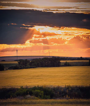 A vibrant farm field at sunrise with weather widgets overlay.