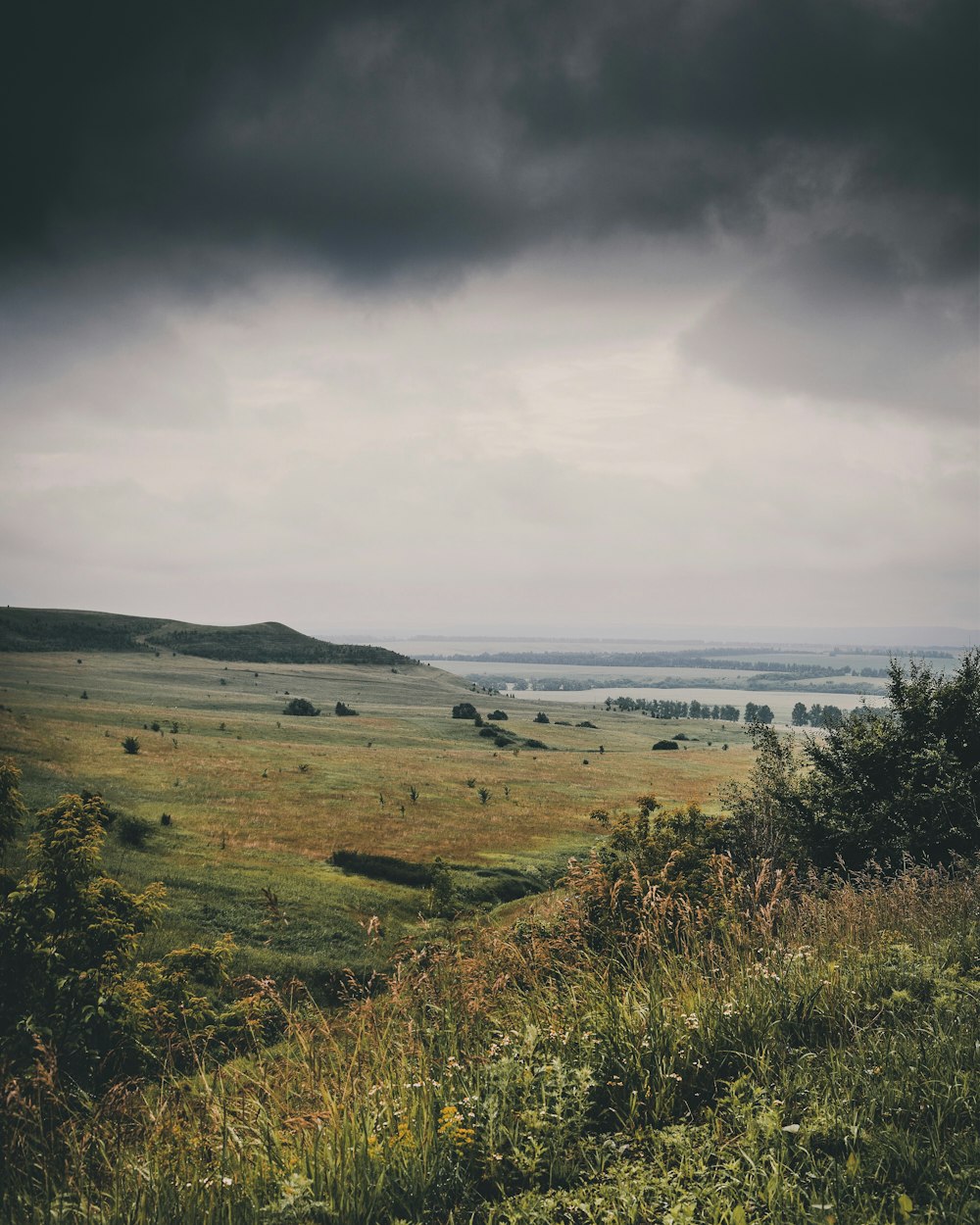 landscape photography of green grass field