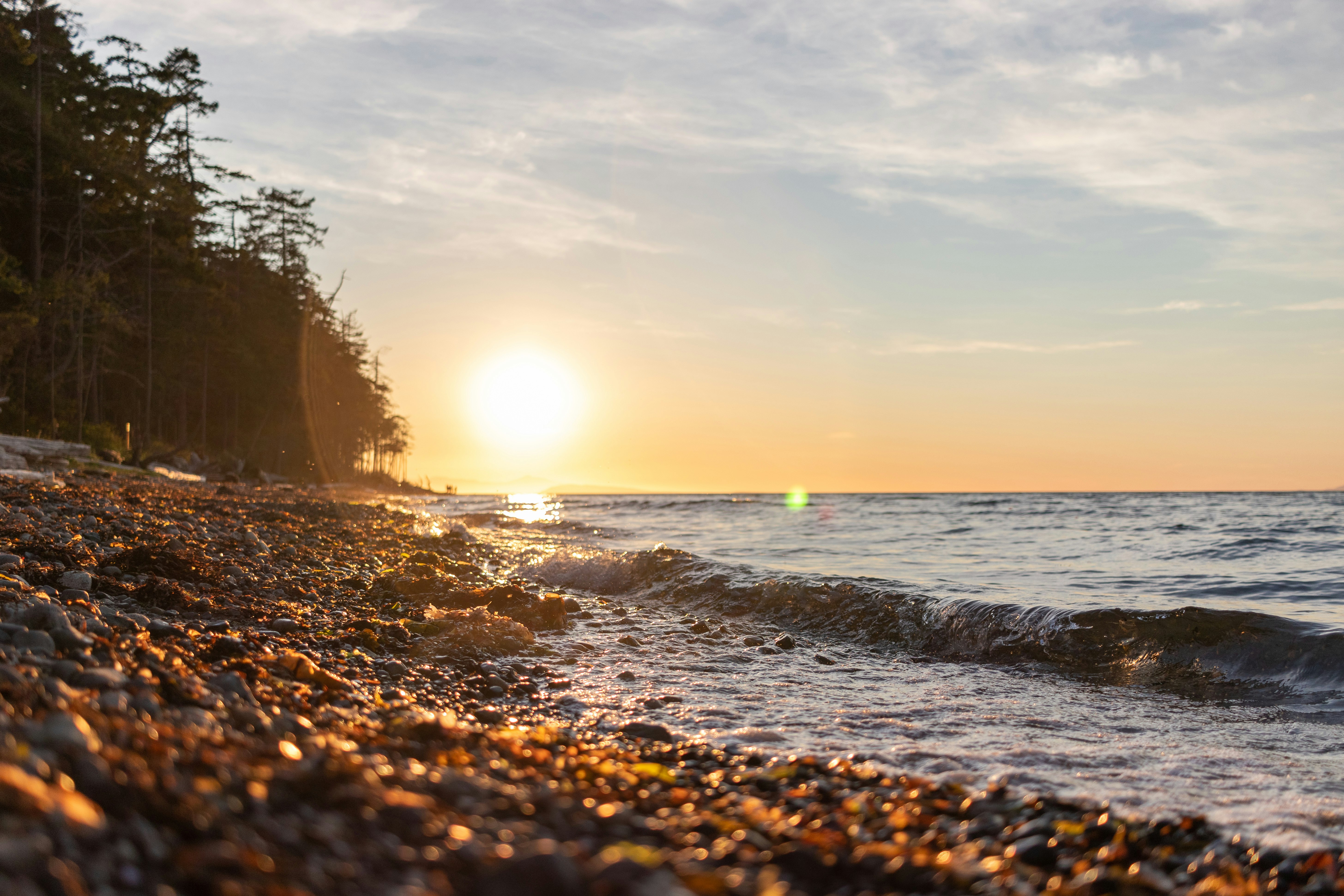 photography of seashore during sunset