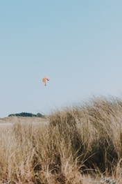 A vibrant photo of a kite surfer gliding over the calm blue waters of Kalpitiya lagoon under a clear sky.