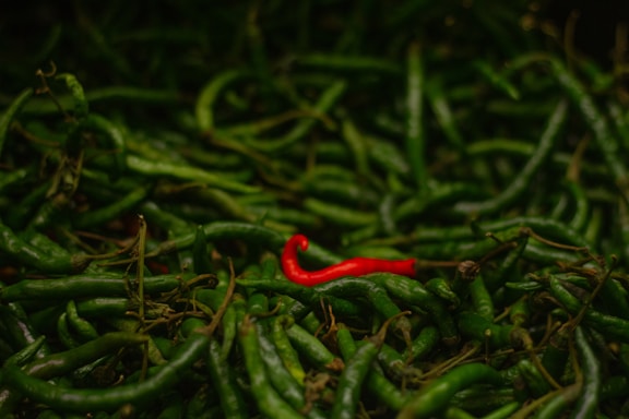 green chilli
