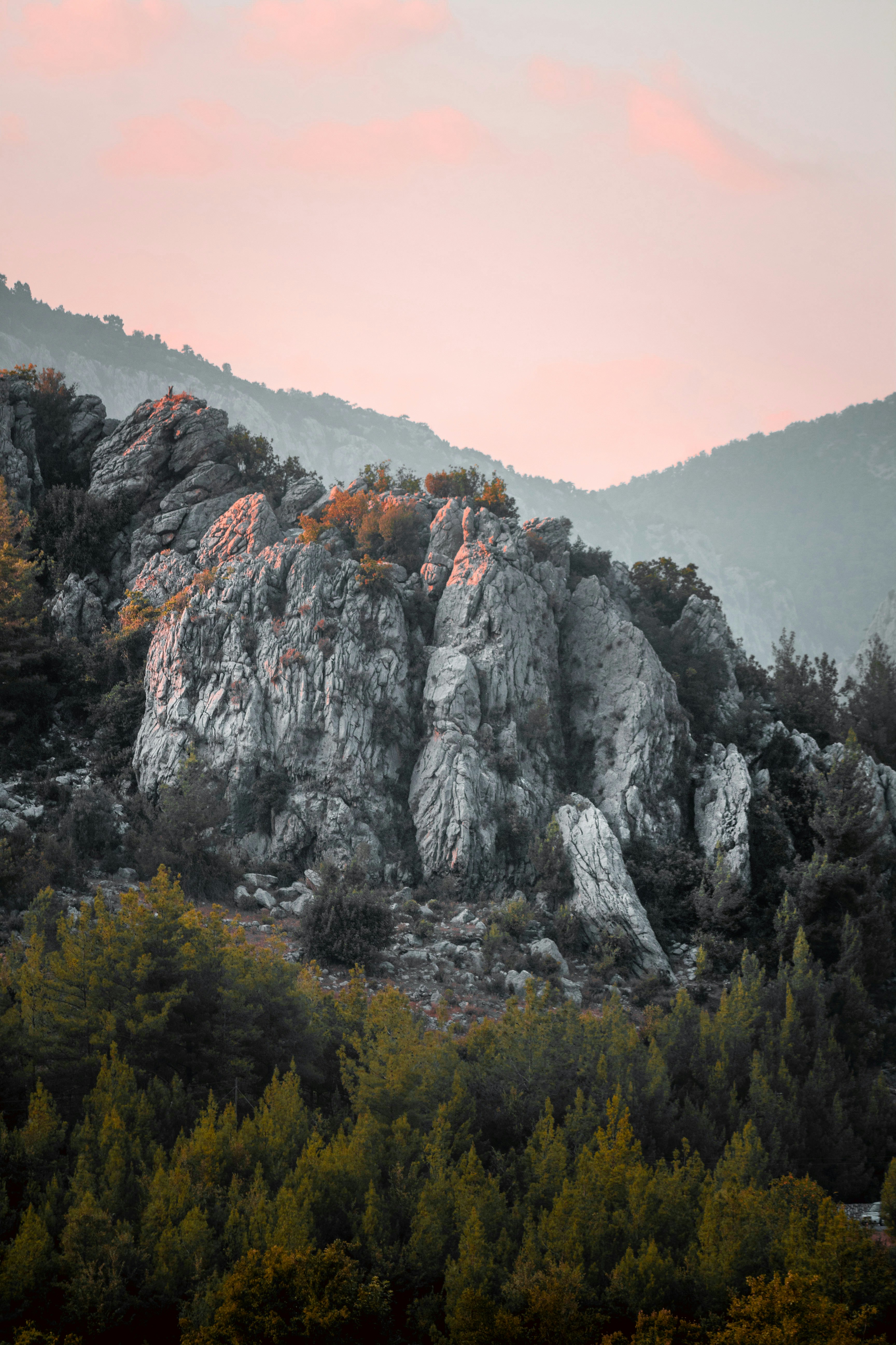 Photo by batudogaa