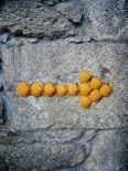 shells arrow on gray pavement