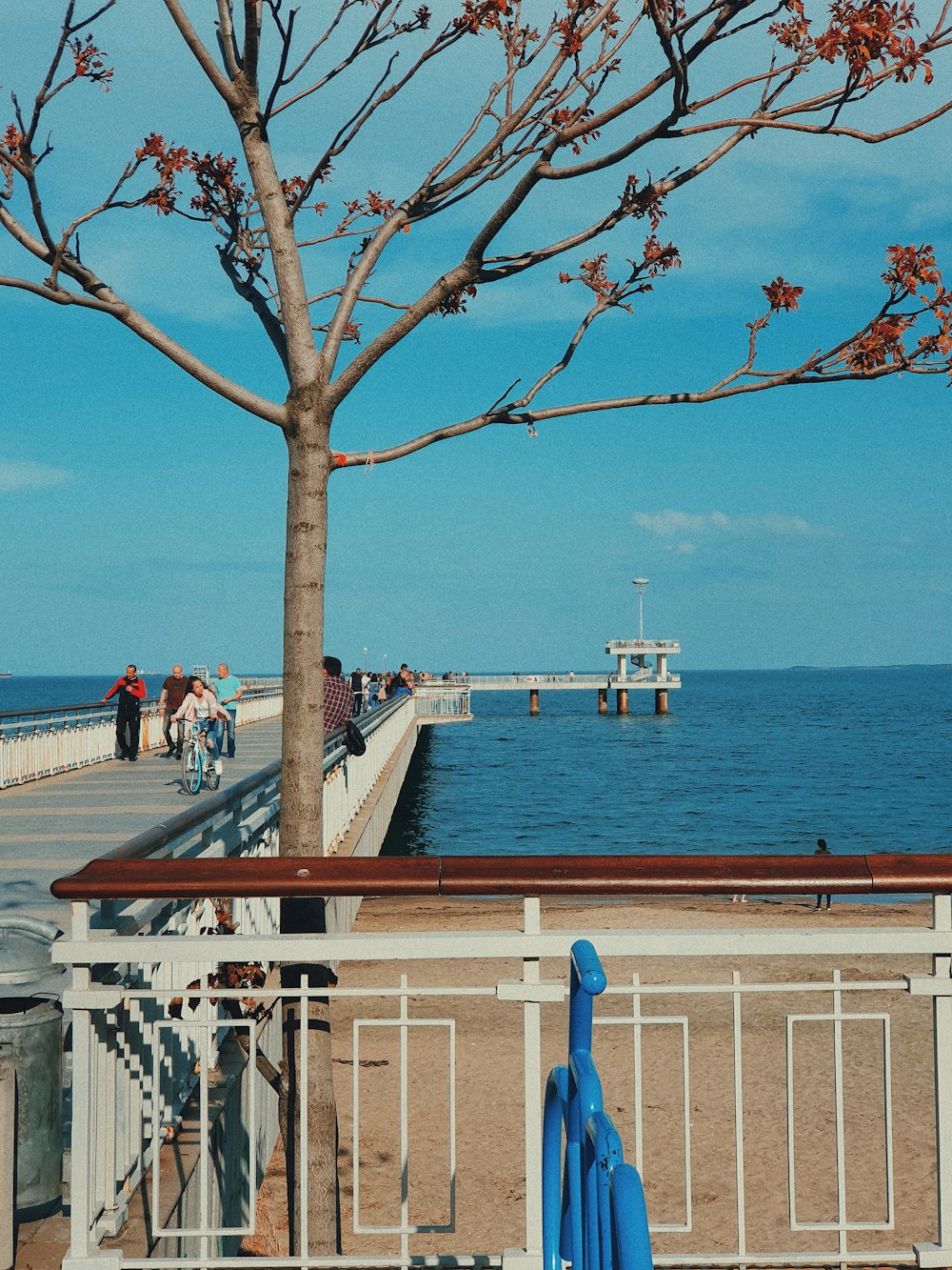 braunes, weißes und graues Holzdock