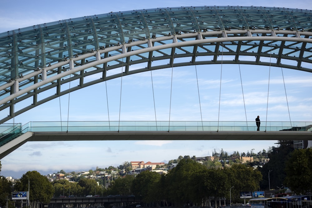 architectural photography of white and blue bridge