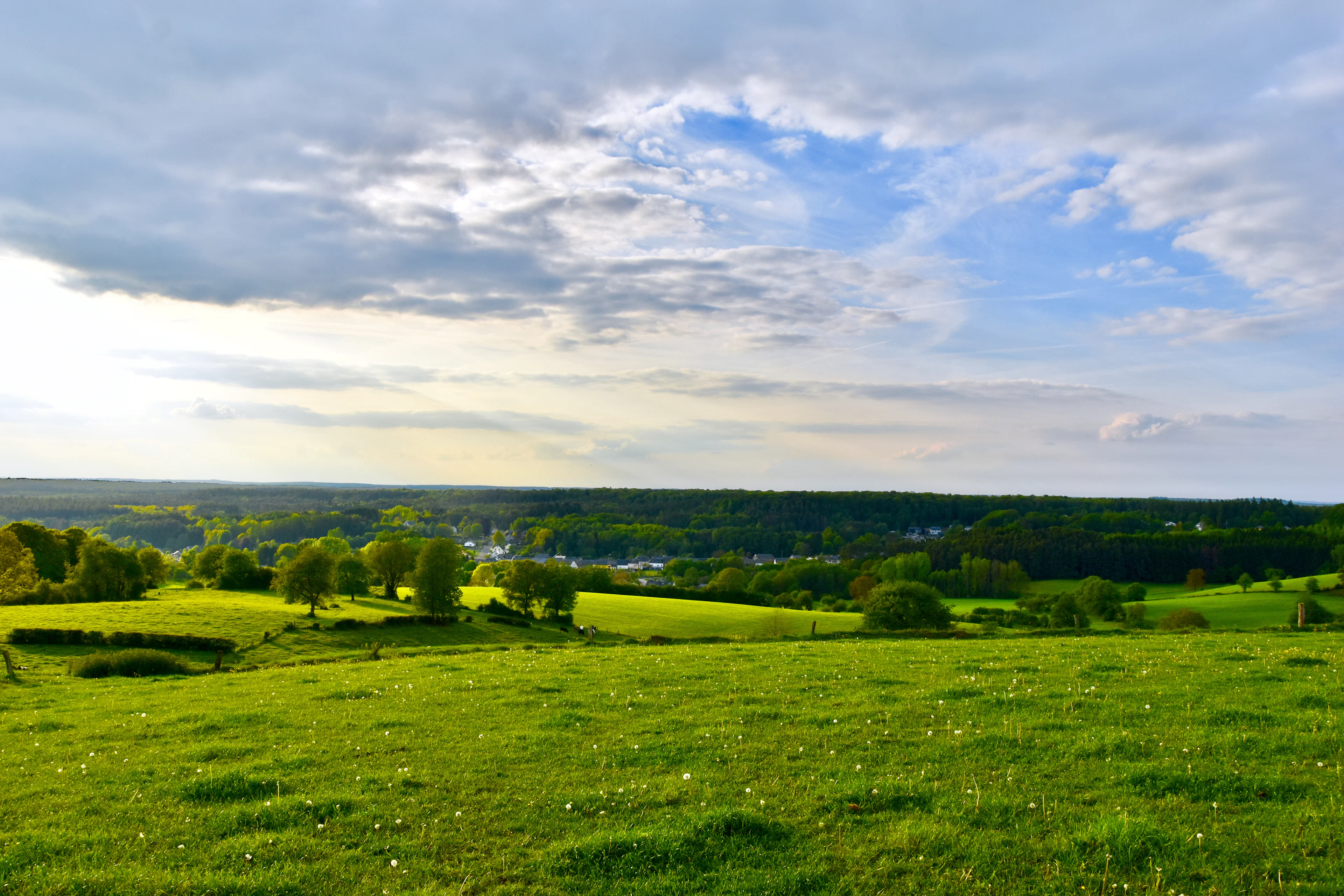Open green field under a clear sky