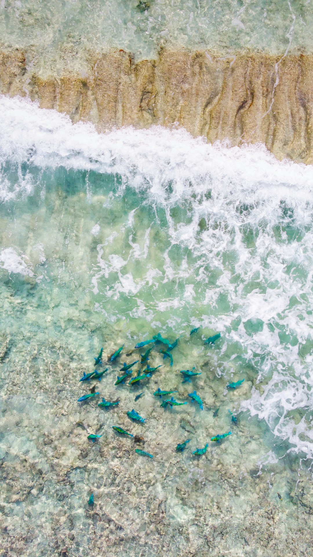 high-angle photography of body of water at daytime