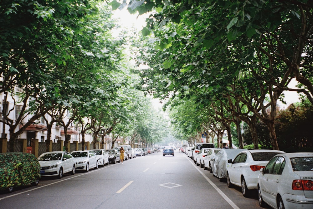 cars parked in both sides of street
