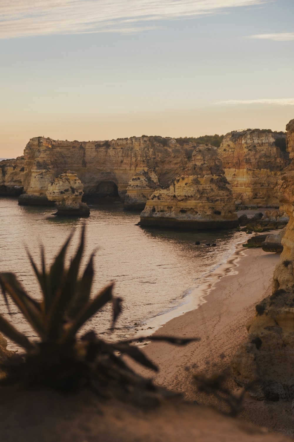 cliff near body of water during daytime