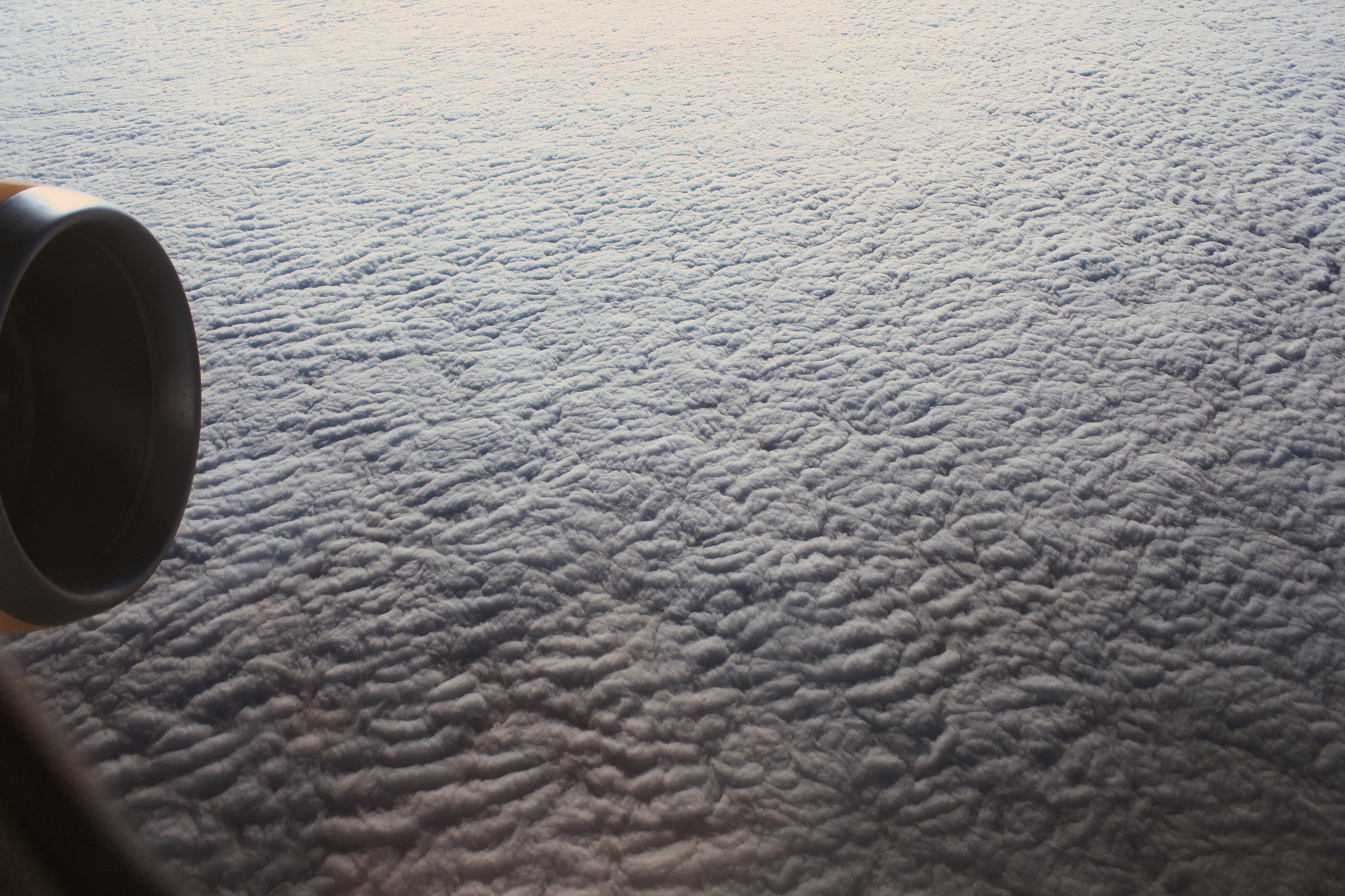 Photo by thasundancekid