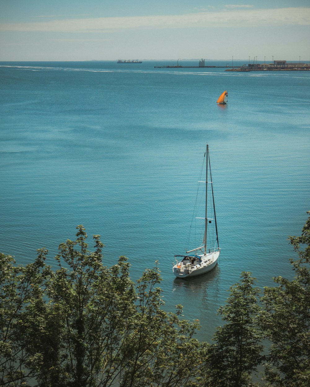 white boat near trees