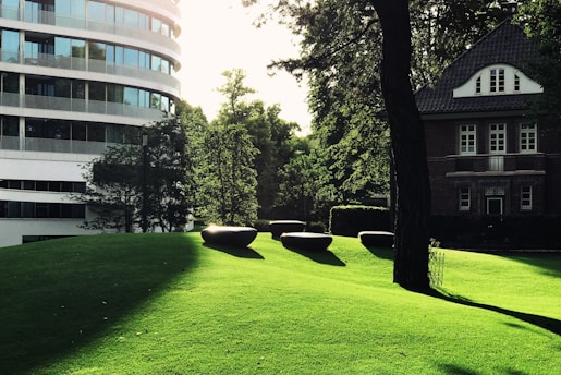 A modern, curved glass building stands on the left, next to a traditional brick house with white-framed windows on the right. The foreground features a sunny, well-manicured grassy hill with distinctive dark stone benches casting long shadows. Tall trees and lush greenery surround the area, giving a tranquil, park-like ambiance.