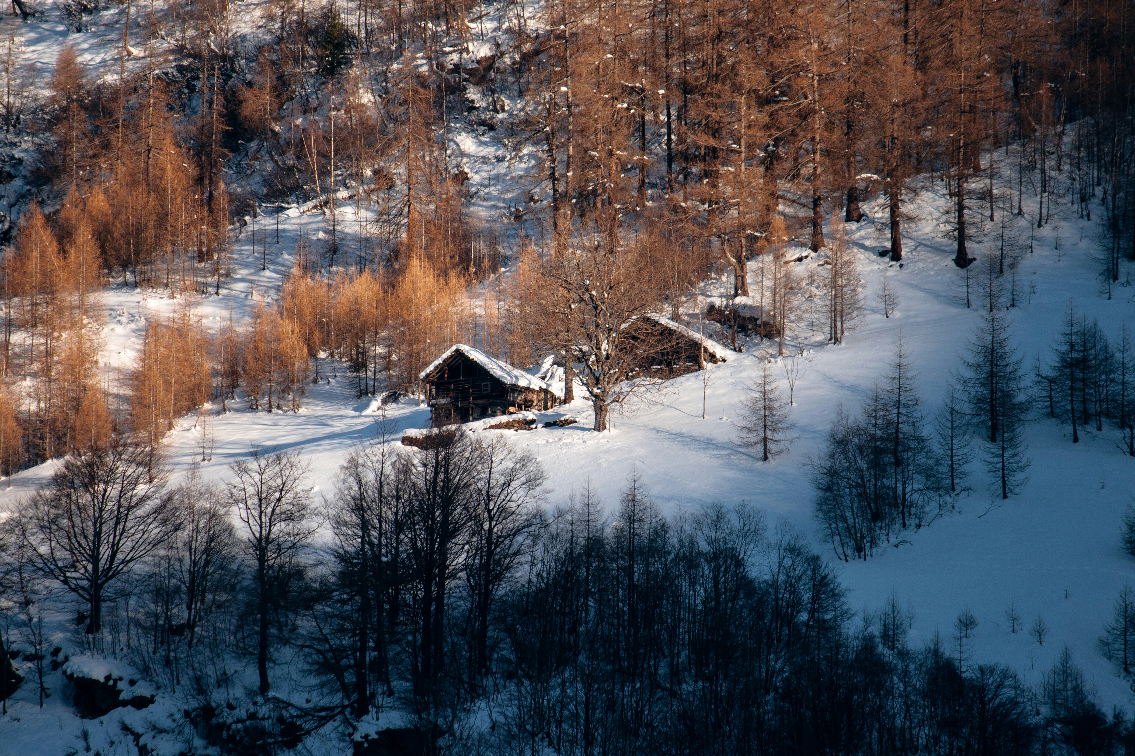 Photo by florianariccio