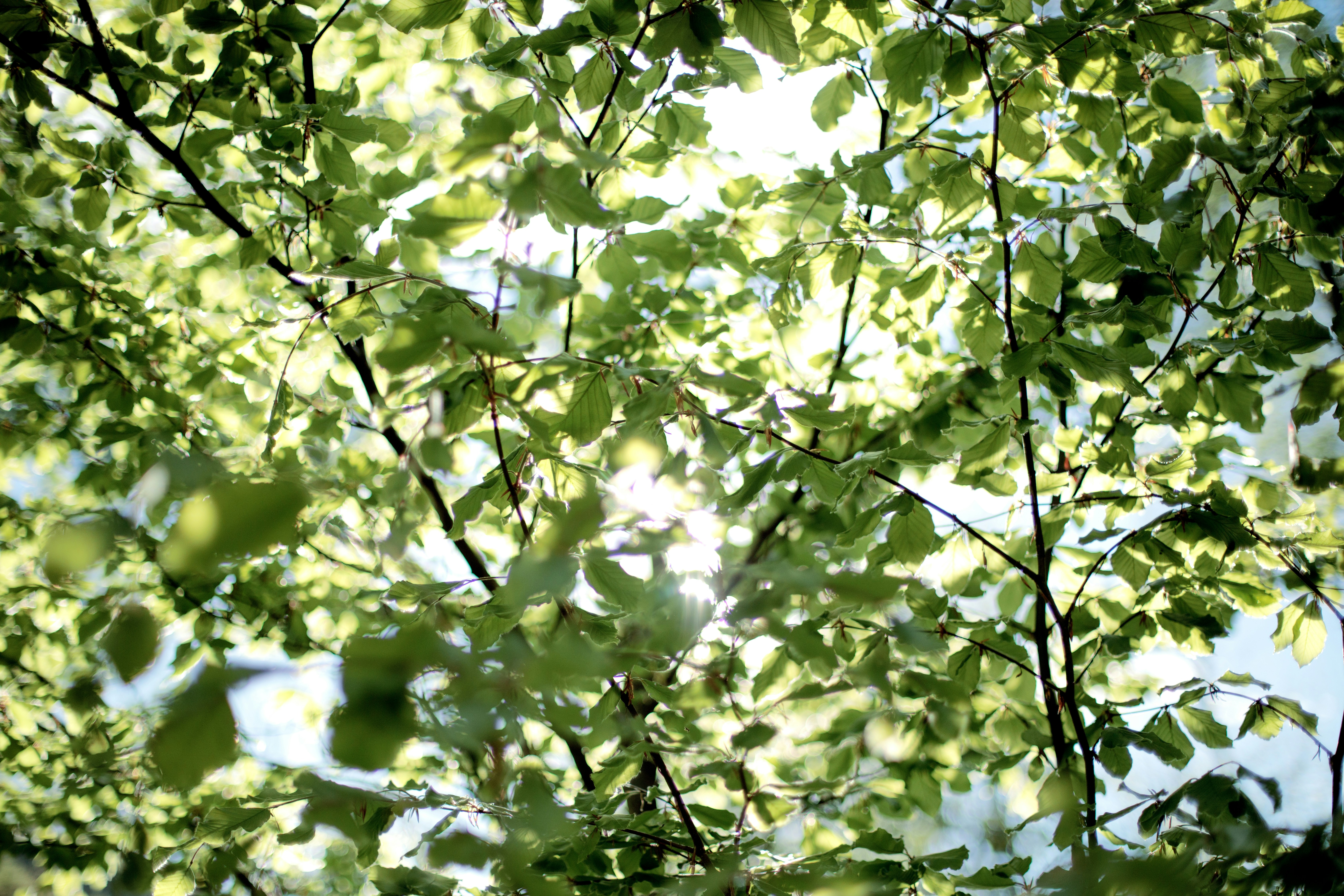 Photo by florianariccio