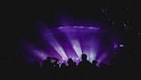 Audience enjoying a concert under colorful lights.