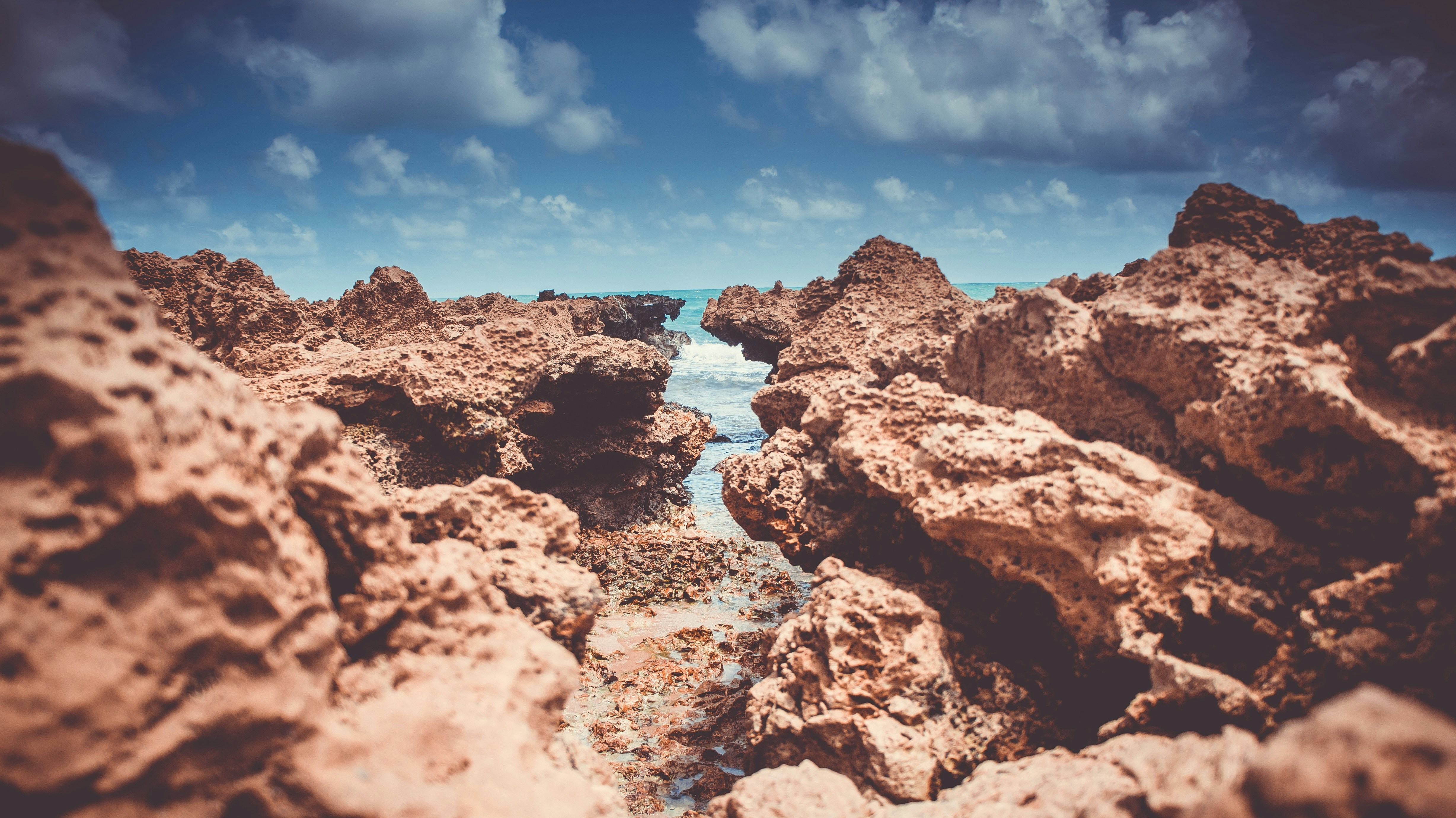 Photo by Antonio Gabriel