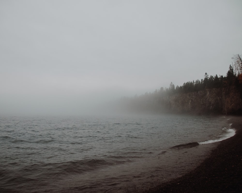 nevoeiros cobriam o mar e as árvores