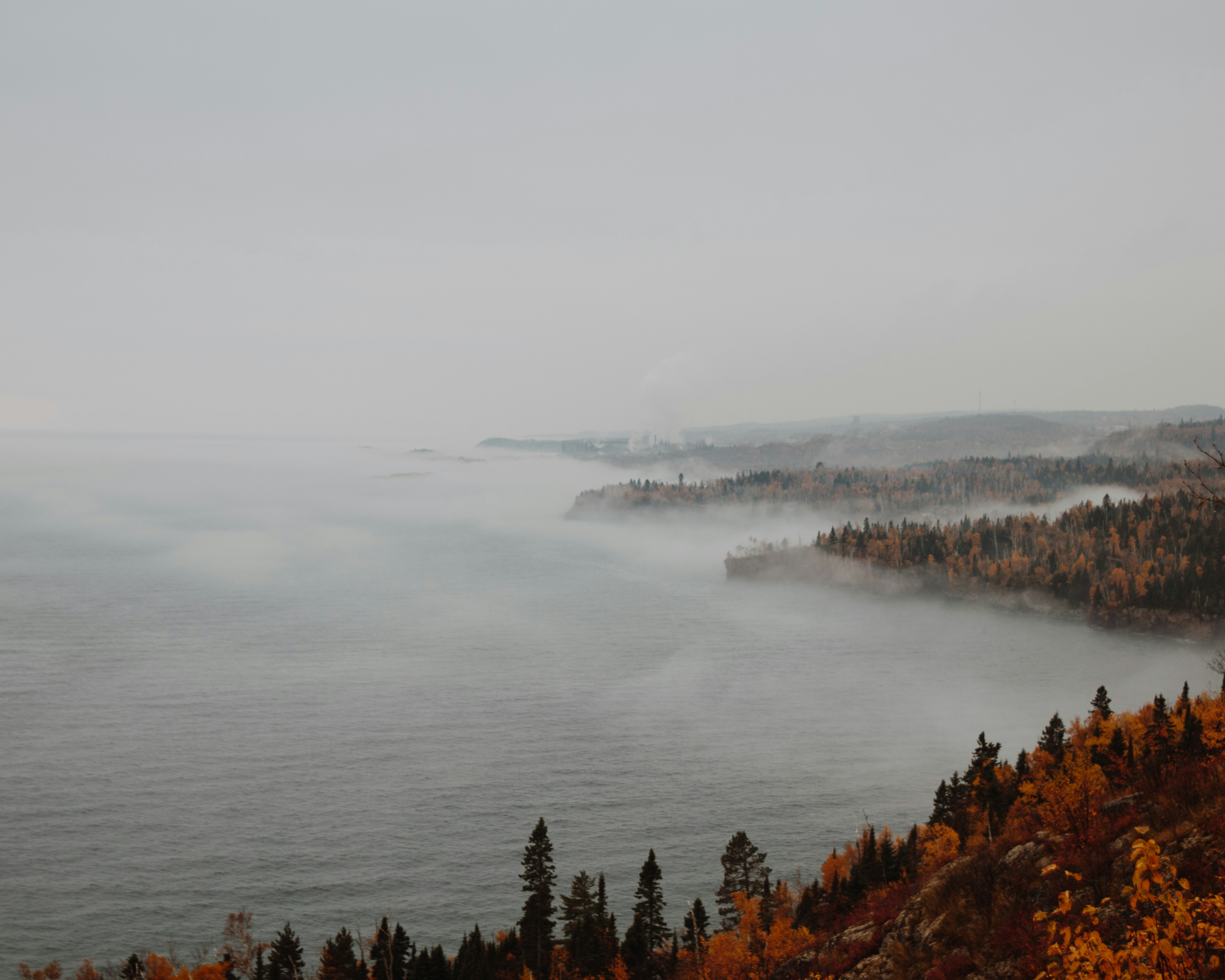Foggy North