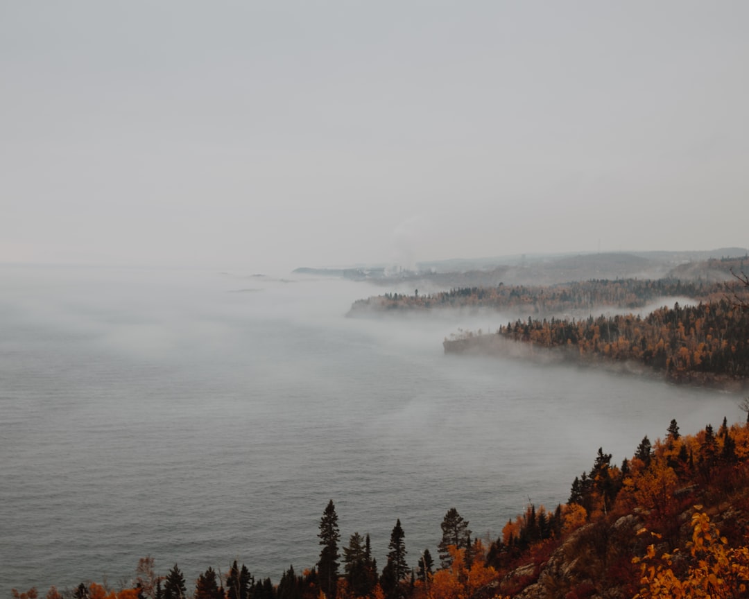 fogs over body of water