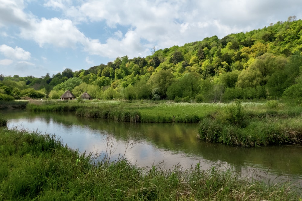 body of water between grasses