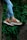 person wearing leopard print sneakers