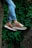 person wearing leopard print sneakers