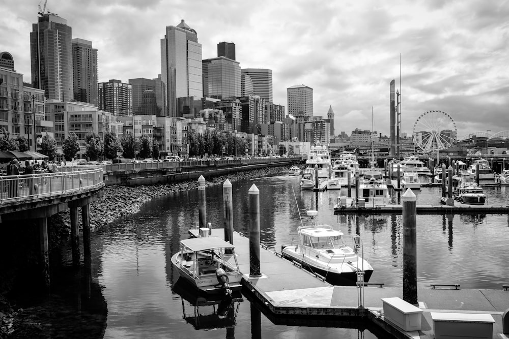grayscale photo of boats moored in marina