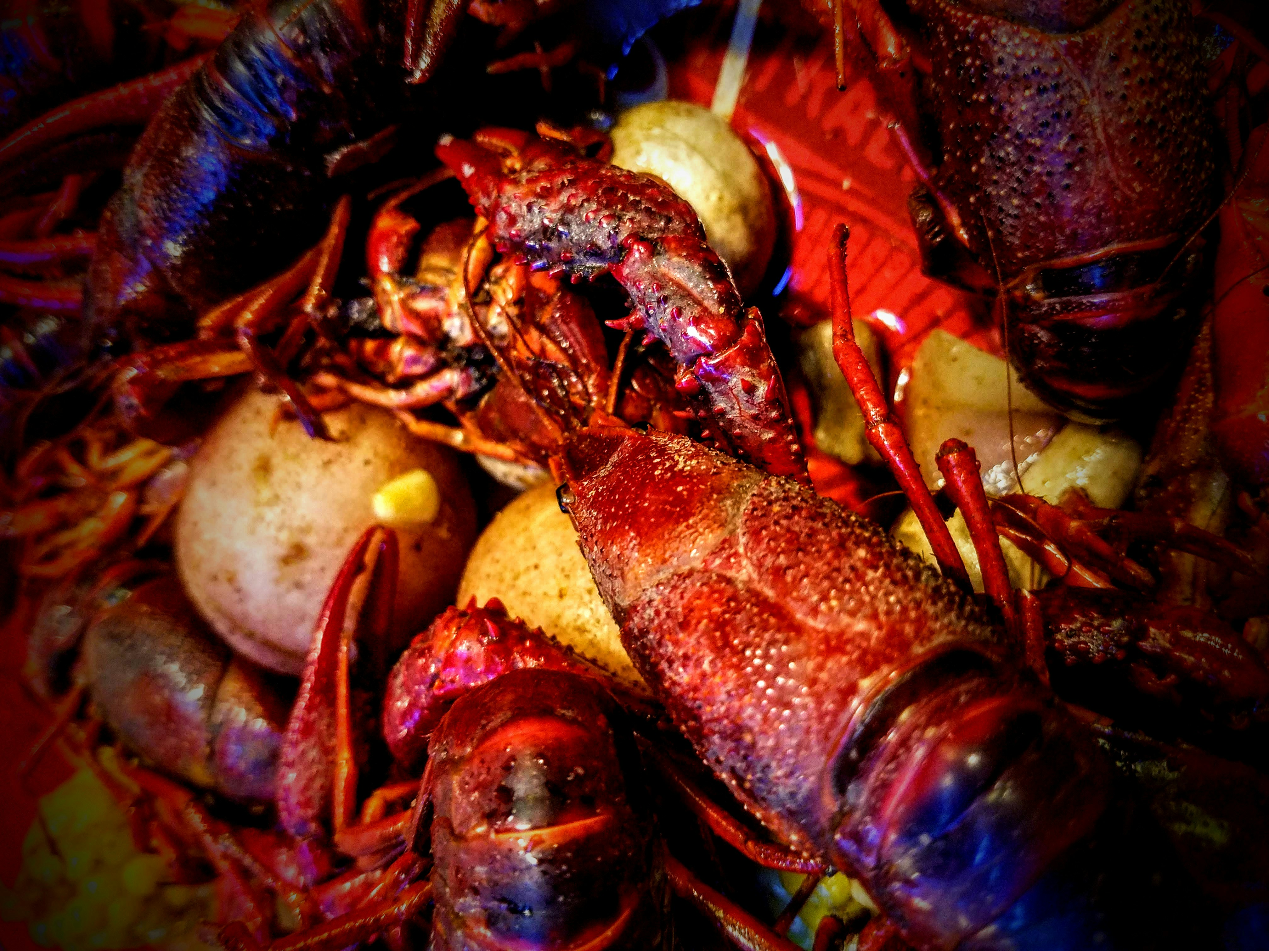 Fresh Boiled Crawfish