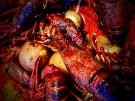 Several cooked crawfish are placed together with small potatoes, all arranged on a red surface. The crawfish shells have a vibrant reddish-brown color, and the potatoes appear to be boiled. The overall composition suggests a seafood boil, a popular Southern dish.