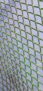 A close-up view of a green wire mesh fence with rust spots, positioned diagonally against a sky blue background.