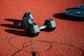 pair of black dumbbells