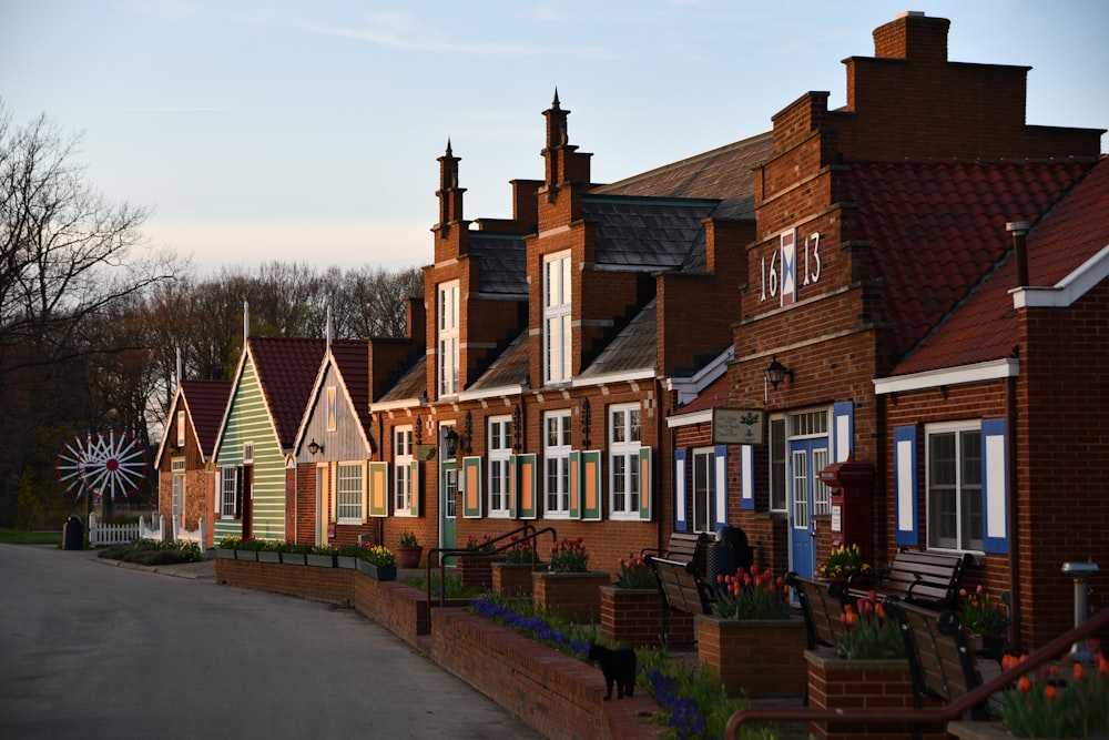 houses near trees during daytime