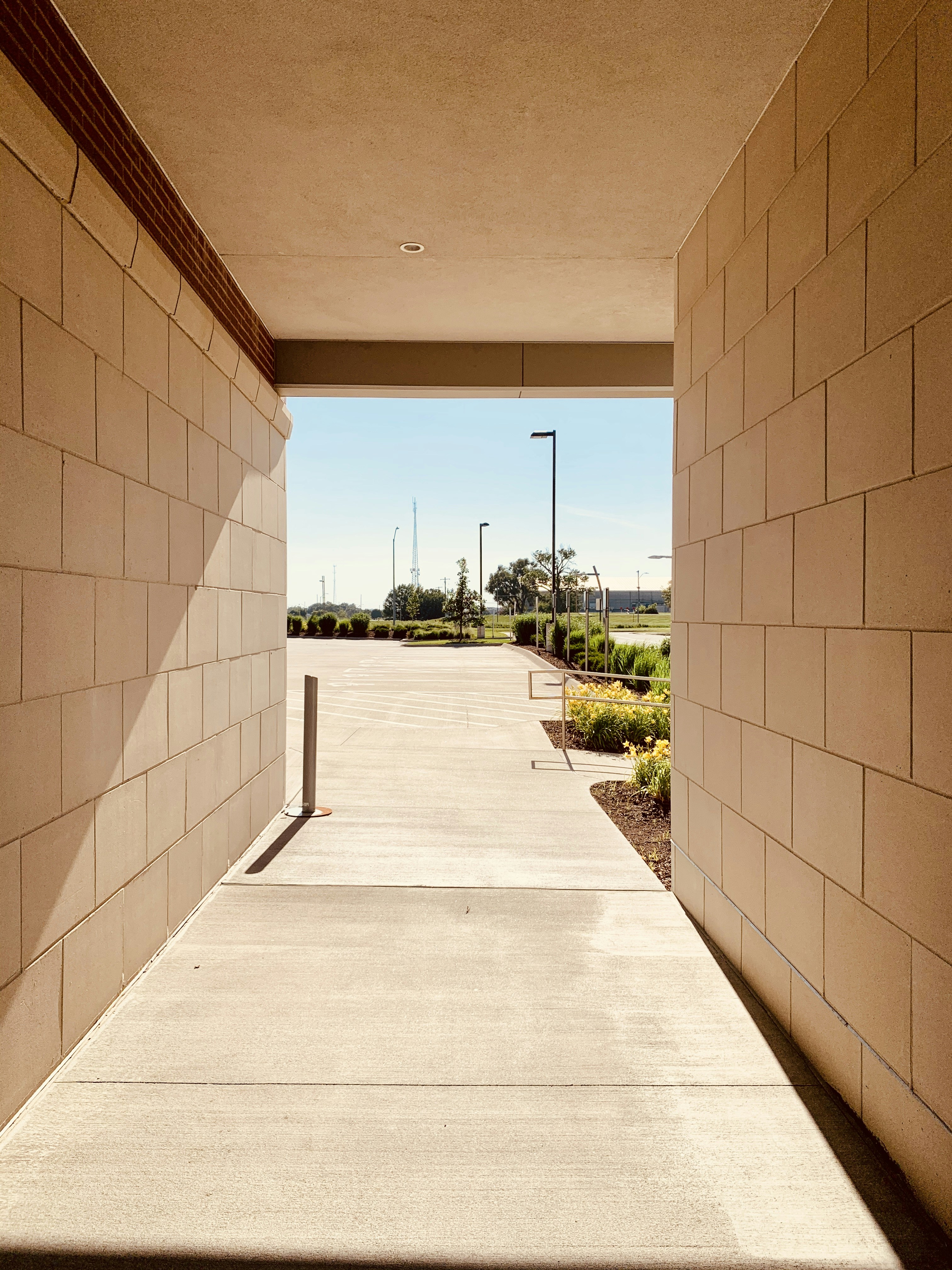 Professional environment