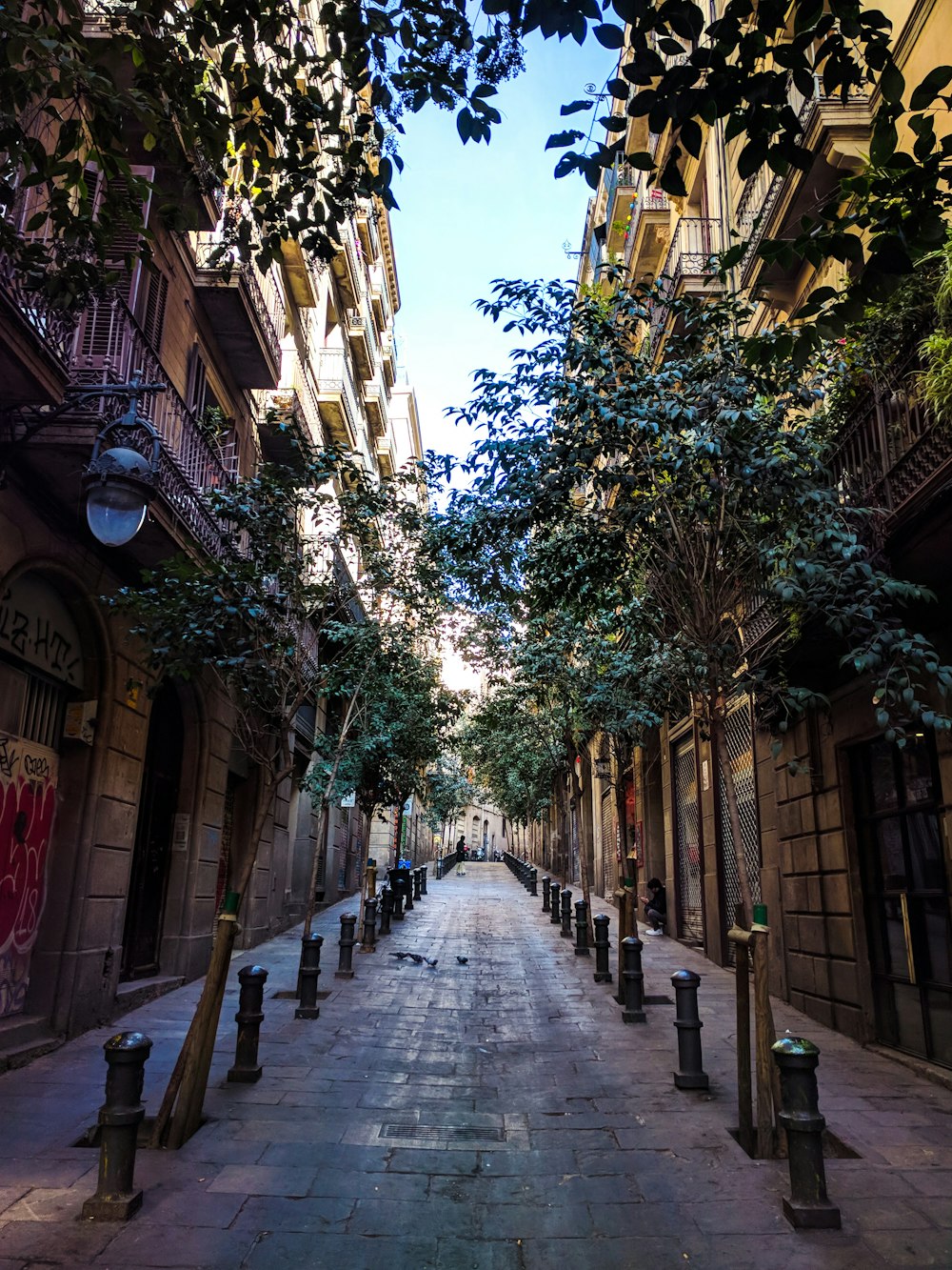 a narrow street lined with tall buildings and trees