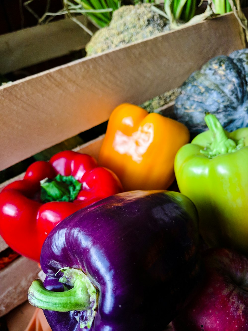 variety of bell peppers