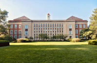 Galgotias University
