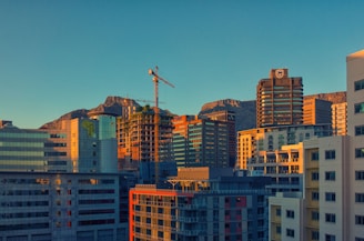 brown concrete buildings during daytime