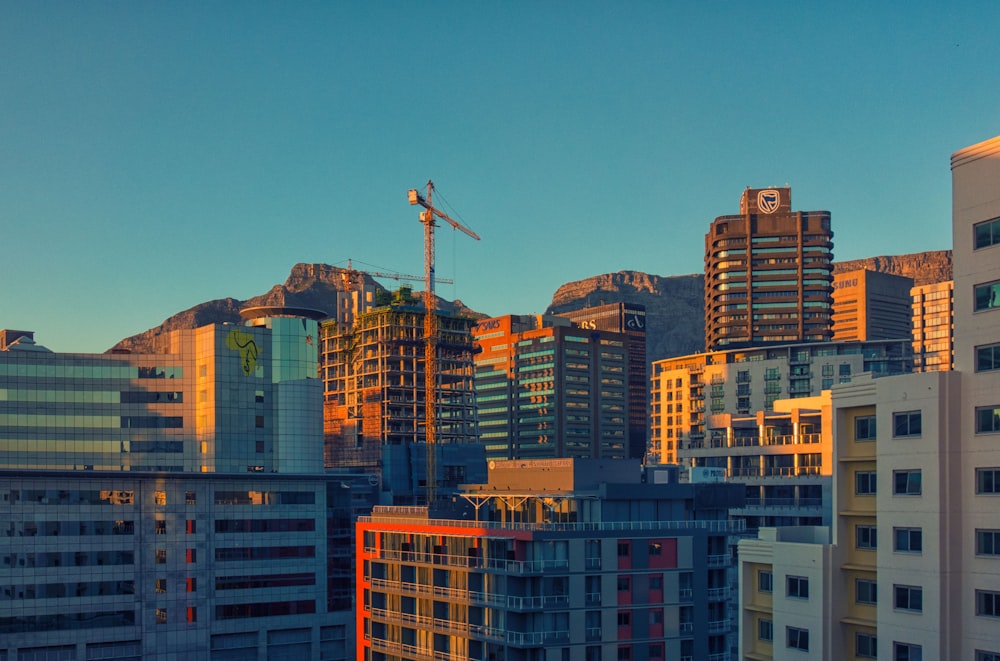 brown concrete buildings during daytime