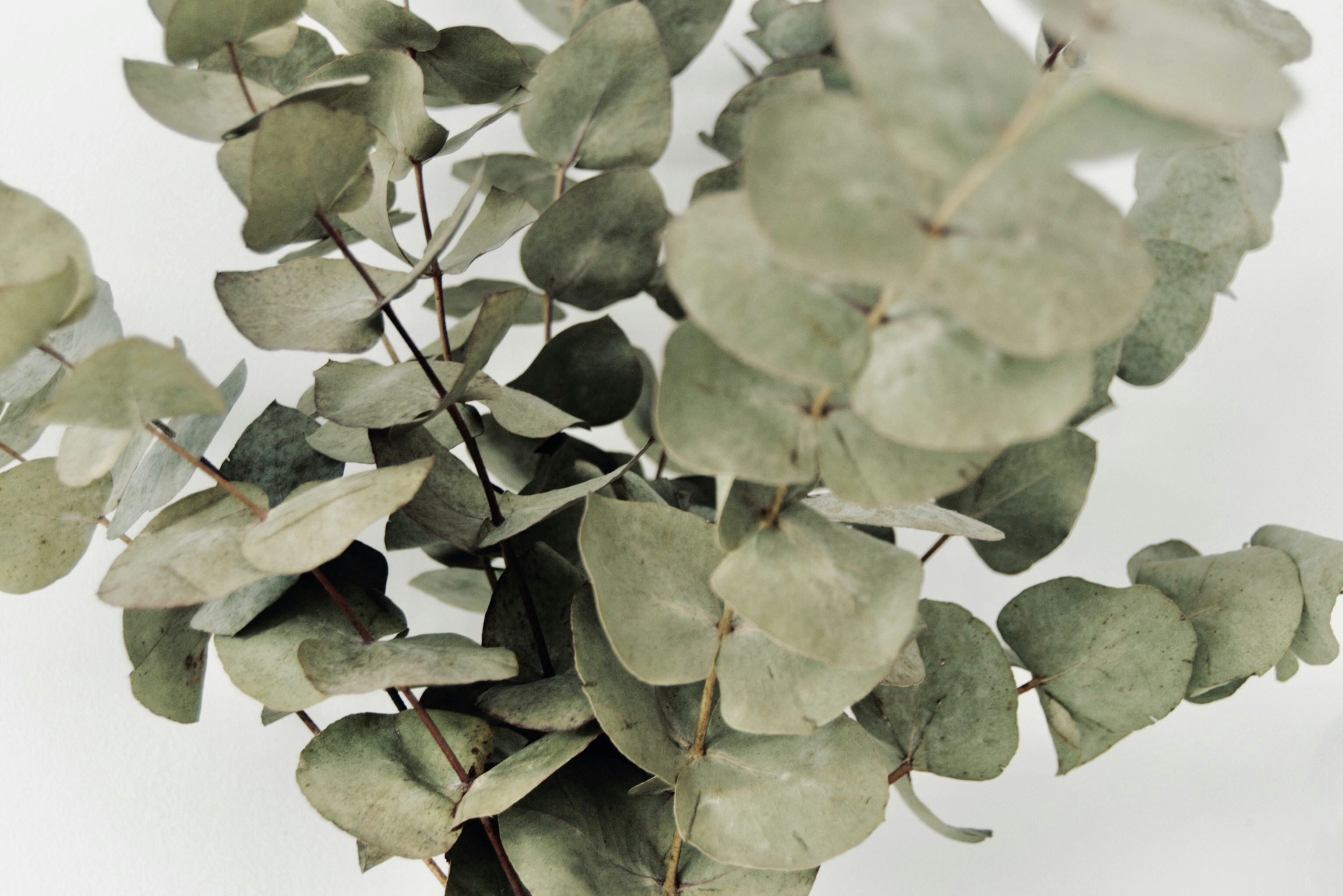 Photo by danielsquibb