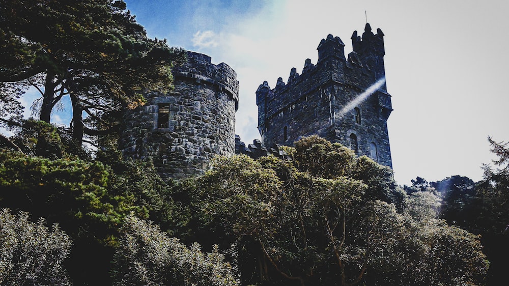 나무로 둘러싸인 회색 성의 로우 앵글 사진