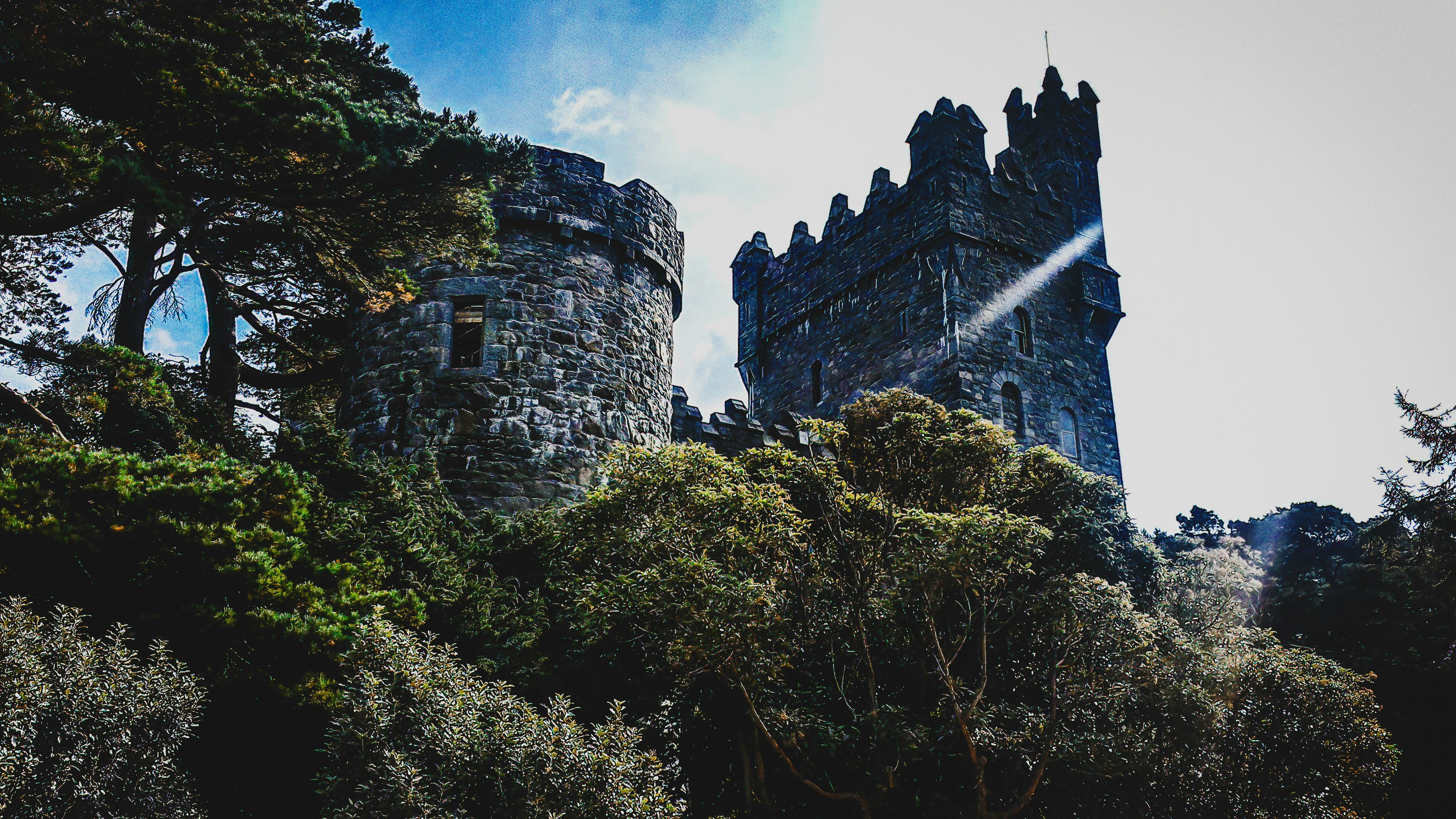 low-angle photography of gray castle surrounded by trees