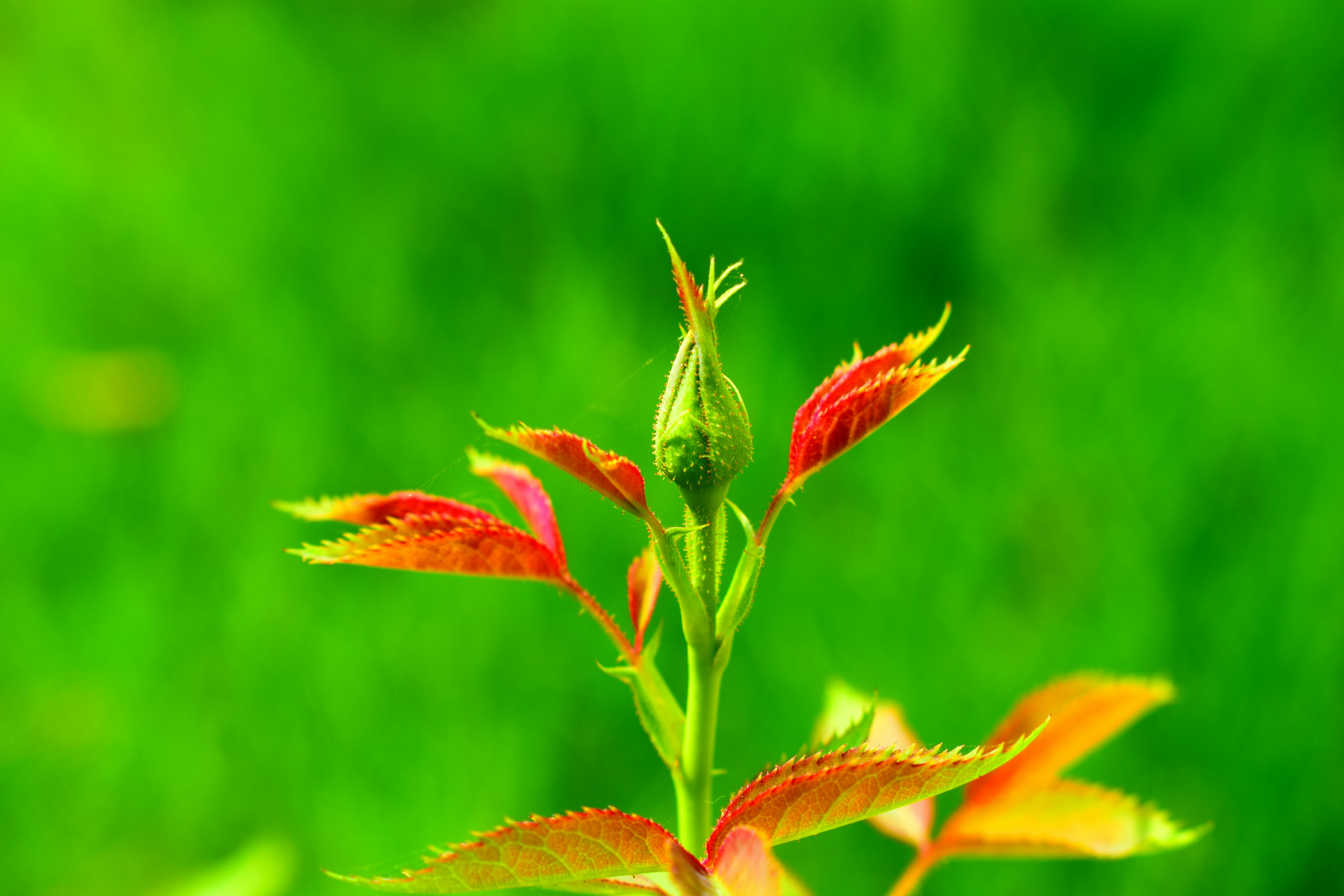 Photo by iu_unsplash