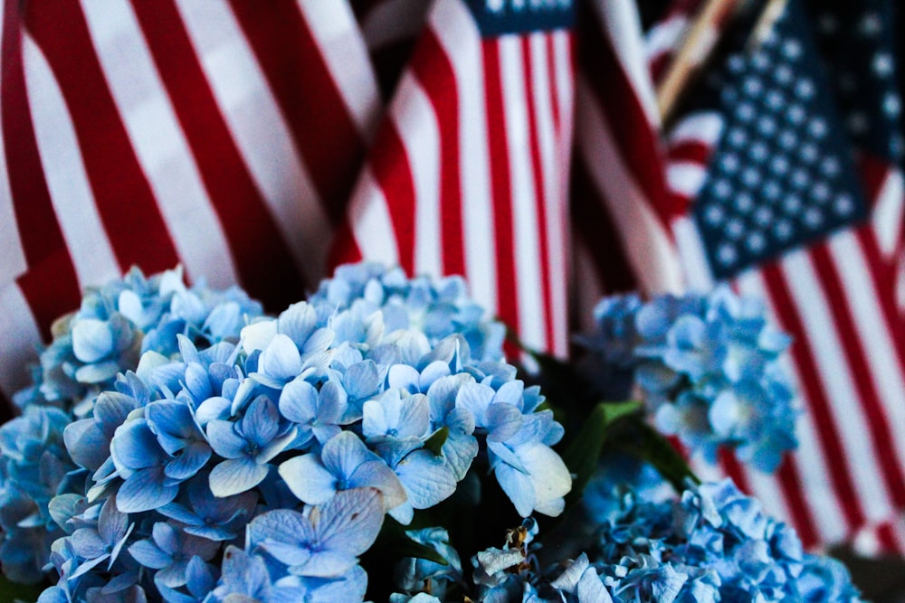 Un ramo de flores azules frente a banderas estadounidenses