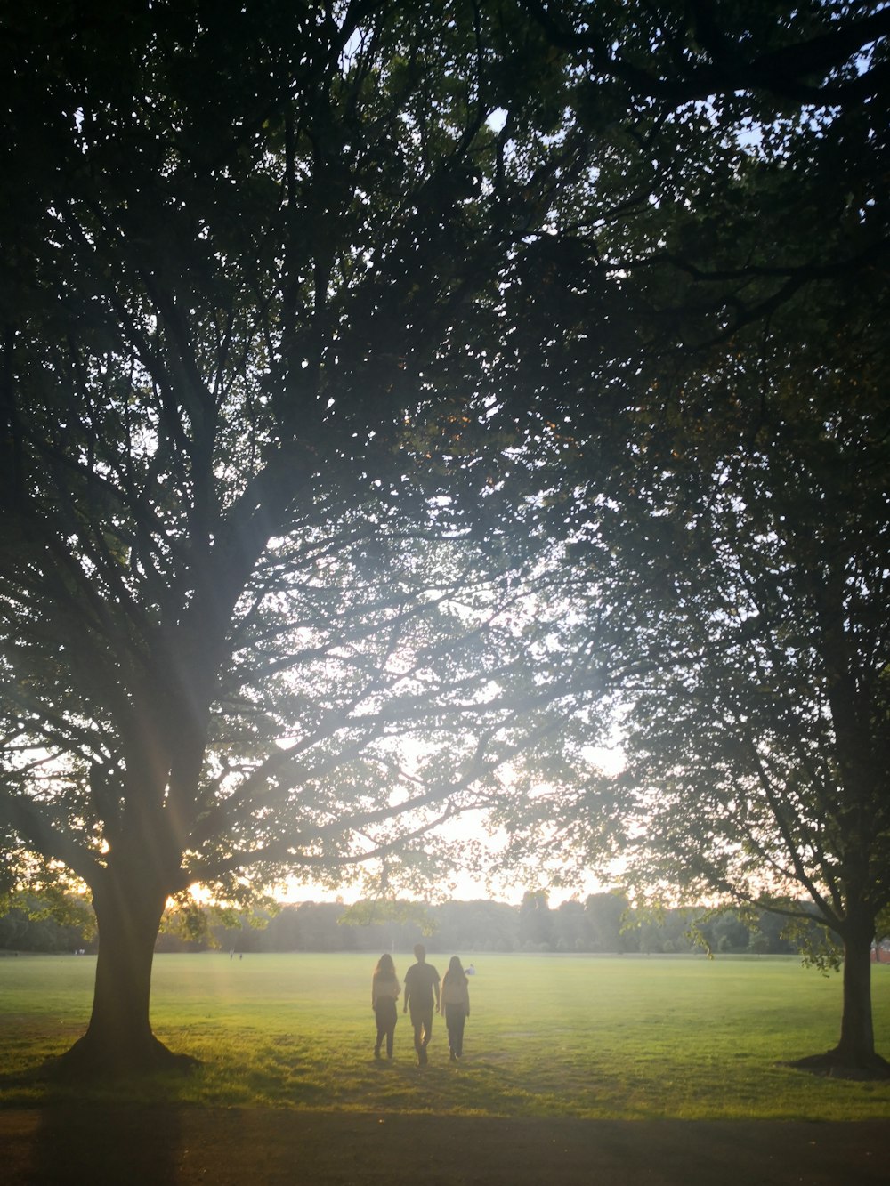 three people walking on green grass field