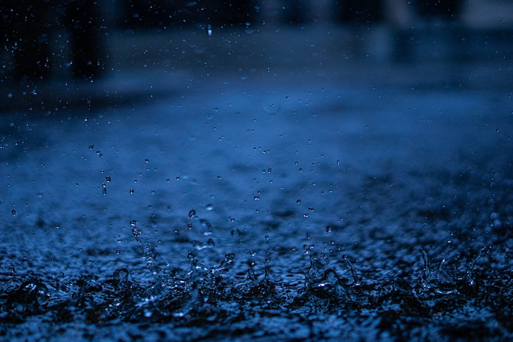 Fotografía de primer plano de gotas de lluvia