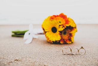 yellow and red-petaled flowers on ground