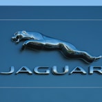 Jaguar emblem