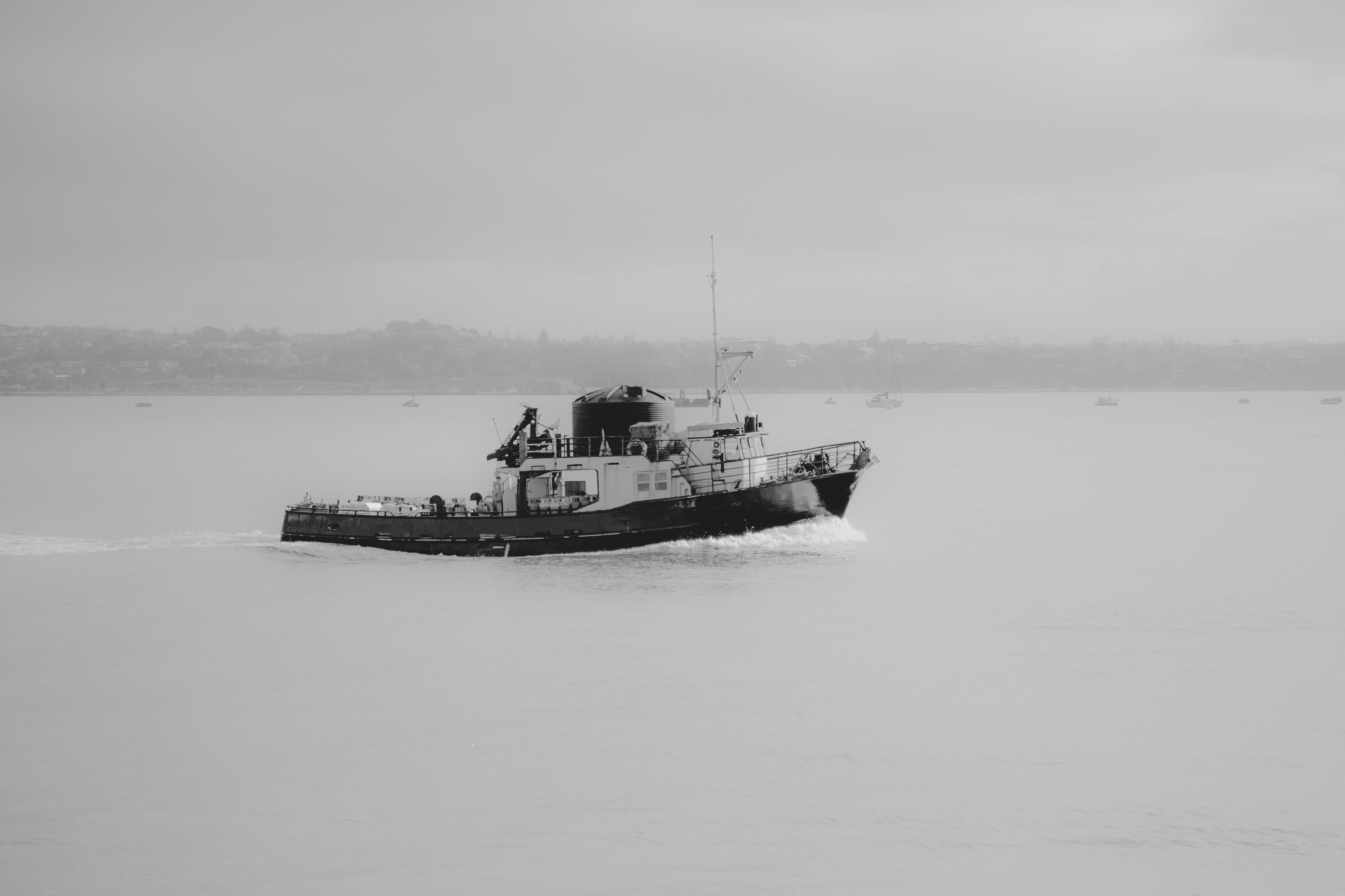 Photo by flynnigan43